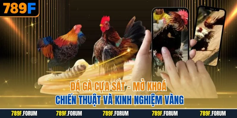 da-ga-cua-sat-mo-khoa-chien-thuat-va-kinh-nghiem-vang