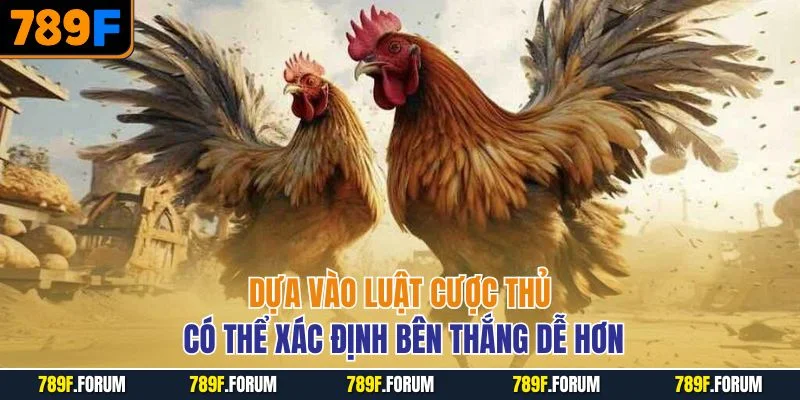 dua-vao-luat-cuoc-thu-co-the-xac-dinh-ben-thang-de-hon