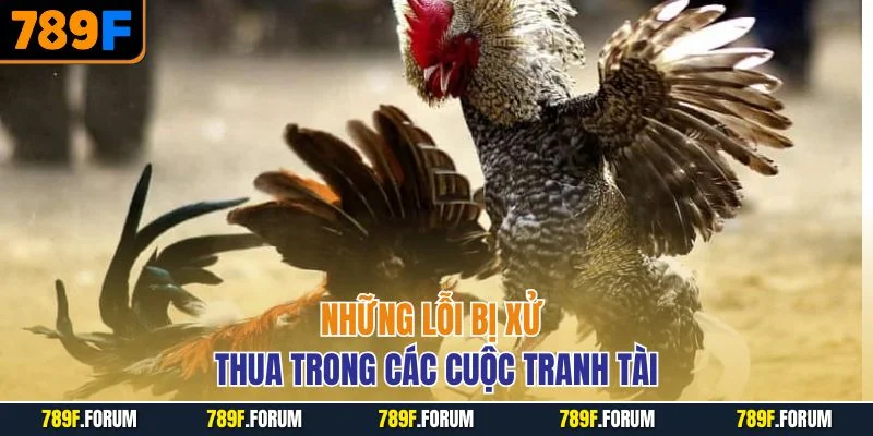 nhung-loi-bi-xu-thua-trong-cac-cuoc-tranh-tai