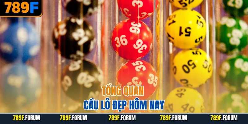 tong-quan-cau-lo-dep-hom-nay