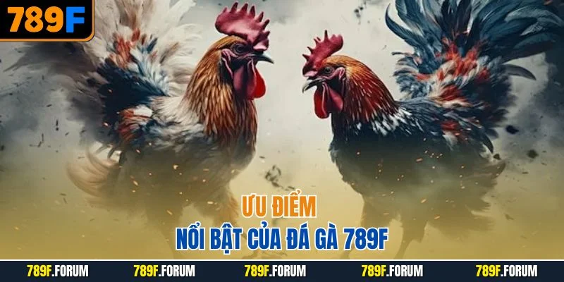 uu-diem-noi-bat-cua-da-ga-789f